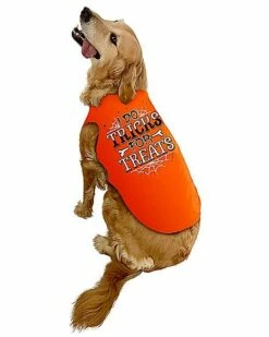 Tricks For Treats Pet Costume