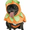 Pumpkin Pet Costume -The Haunted Closet Sales 01579887 a