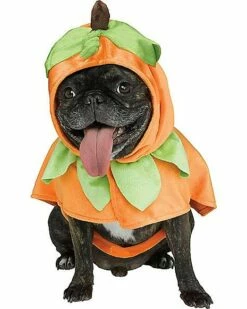 Pumpkin Pet Costume