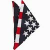 American Flag Bandana