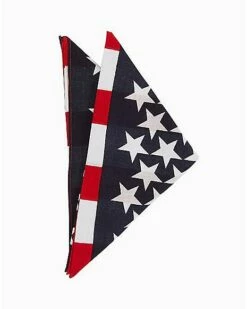 American Flag Bandana