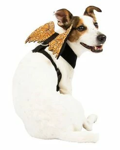 Orange Web Wings Pet Harness
