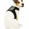 Skeleton Pet Harness 2 Skeleton Pet Harness -The Haunted Closet Sales 07466428 a